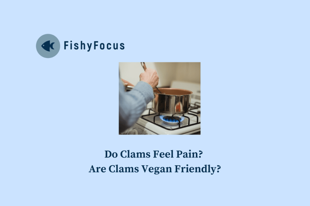 Do Clams Feel Pain Are Clams Vegan Friendly
